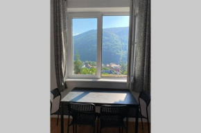 Extremely Quiet and Relaxing Apartment at the 4th Floor - No Elevator Sinaia